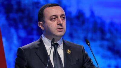 Премьер Грузии обвинил украинских политиков во вмешательстве и назвал неудачниками