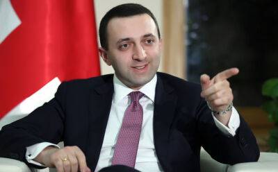Протесты в Грузии – премьер Грузии Иракли Гарибашвили раскритиковал Владимира Зеленского