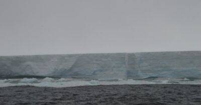Рожденный пропастью. Ученые показали гигантский айсберг, отколовшийся от шельфового ледника Антарктиды