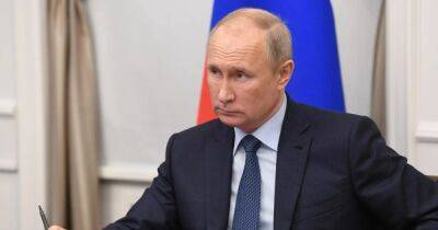 После двух "прогулов": Кремль "не исключает" участие Путина в саммите G20