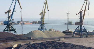 Заплатили 220 миллионов гривен: в Украине продали Белгород-Днестровский порт: кто станет новым собственником