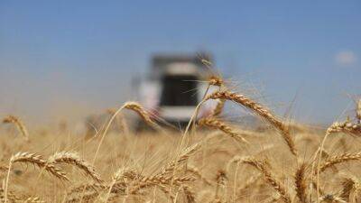 рф не возражает против продления "зерновой сделки", но только на 60 дней