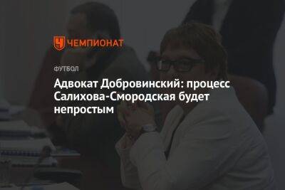 Адвокат Добровинский: процесс Салихова-Смородская будет непростым