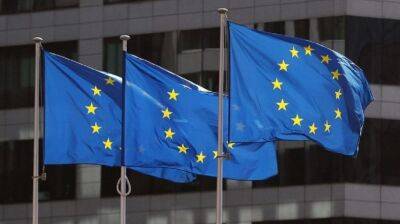 ЕС разрабатывает закон об "иностранных агентах" – СМИ