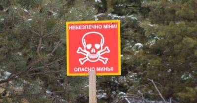 В селе на Херсонщине на российских минах подорвались четверо саперов и гражданский