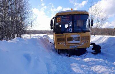 Школьный автобус застрял в снегу в Торжокском районе