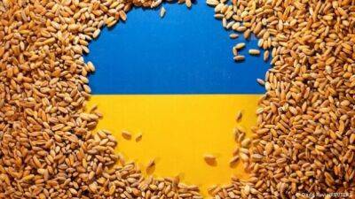 РФ готова продлить «зерновое соглашение», но только на 60 дней