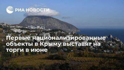 Аксенов сообщил, что первые национализированные объекты в Крыму выставят на торги в июне