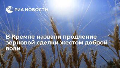 Песков назвал продление зерновой сделки на 60 дней жестом доброй воли