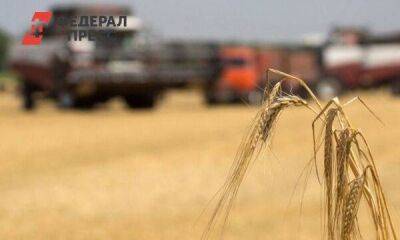 Политолог Баширов заявил, что Россия не отступится от своих условий при продлении зерновой сделки