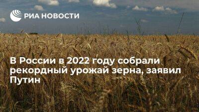 Путин: в России в 2022 году собрали свыше 155 миллионов тонн зерна