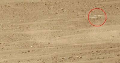 Новый рекорд на Марсе. Марсоход NASA показал, как летает на Красной планете внеземной вертолет (видео)