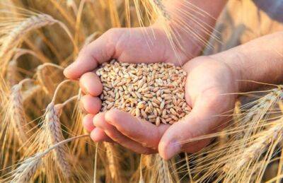 Турция хочет продления «зернового соглашения» на 120 дней