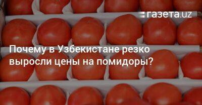 Портал EastFruit — о причинах резкого роста цен на помидоры в Узбекистане