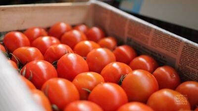Стало известно, почему в Узбекистане резко выросли цены на помидоры