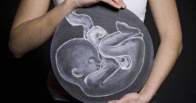 Стоит купить тест: 6 неожиданных ранних признаков беременности - focus.ua - Украина