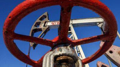 Эксперт оценил призывы трех стран снизить потолок цен на нефть из России