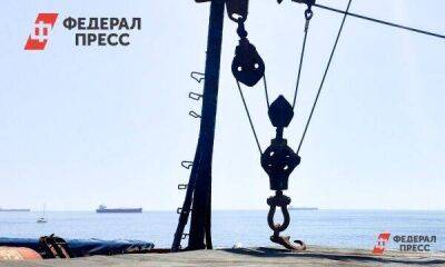 Из Новороссийска в Египет будет запущена новая линия по морю