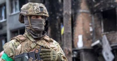В Украине создадут электронный Кабинет военного: зачем он нужен и какие опции могут туда войти