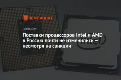 Александр Калинин - Поставки процессоров Intel и AMD в Россию почти не изменились — несмотря на санкции - championat.com - Россия