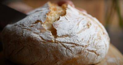 Хлеб будет дорожать каждый месяц: пекари рассказали, почему невозможно удержать цены на популярный продукт