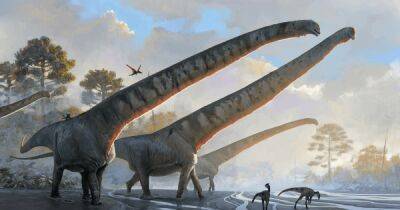 Более 15 м в длину. Ученые обнаружили останки динозавра с самой большой шеей среди всех животных - focus.ua - Украина
