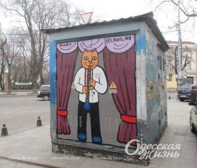 В Одессе появился необычный настенный кот | Новости Одессы