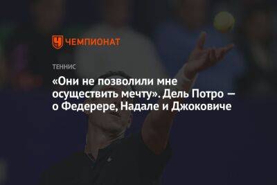 «Они не позволили мне осуществить мечту». Дель Потро — о Федерере, Надале и Джоковиче