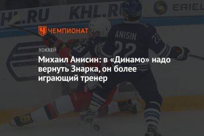 Михаил Анисин: в «Динамо» надо вернуть Знарка, он более играющий тренер