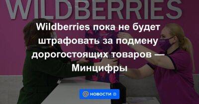 Wildberries пока не будет штрафовать за подмену дорогостоящих товаров — Минцифры