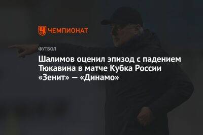 Шалимов оценил эпизод с падением Тюкавина в матче Кубка России «Зенит» — «Динамо»