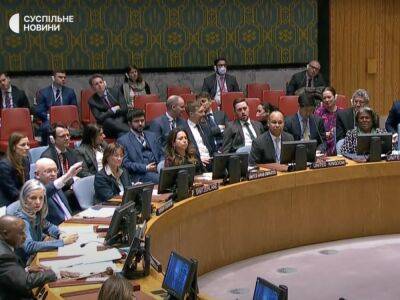 Россия попыталась пригласить на заседание Совбеза ООН "омбудсмена ДНР" Морозову. Совбез отклонил предложение