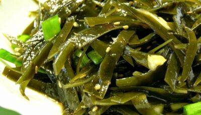 Кулинарный тренд – морские водоросли. Как правильно внедрить их в меню?