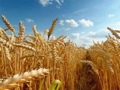 «Зерновое соглашение» продлено на 120 дней — Курбаков