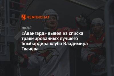 «Авангард» вывел из списка травмированных лучшего бомбардира клуба Владимира Ткачёва