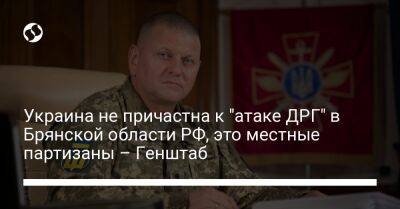 Украина не причастна к "атаке ДРГ" в Брянской области РФ, это местные партизаны – Генштаб