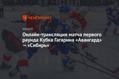 Онлайн-трансляция матча первого раунда Кубка Гагарина «Авангард» — «Сибирь»