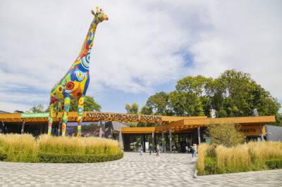 Махинации при реконструкции зоопарка в Киеве - что известно