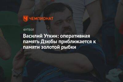 Василий Уткин: оперативная память Дзюбы приближается к памяти золотой рыбки