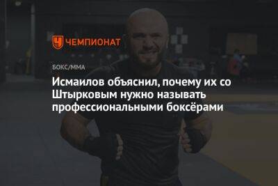 Исмаилов объяснил, почему их со Штырковым нужно называть профессиональными боксёрами
