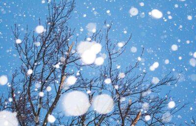 Погода в Твери на выходных будет снежной