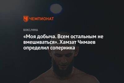 «Моя добыча. Всем остальным не вмешиваться». Хамзат Чимаев определил соперника