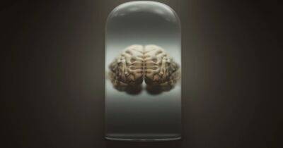 Эпицентр безумия: ученые используют самую большую коллекцию мозгов для исследования заболеваний