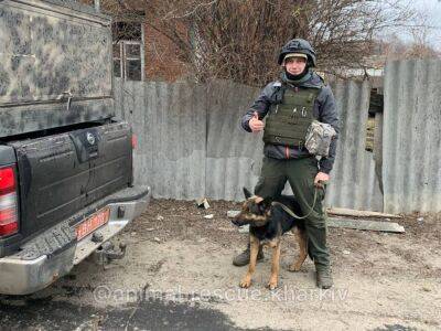 Из прифронтовых населенных пунктов Харьковщины волонтеры эвакуировали животных
