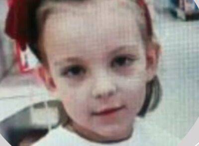 "Было слышно много людей": 8-летняя Софийка и ее мама исчезли при загадочных обстоятельствах