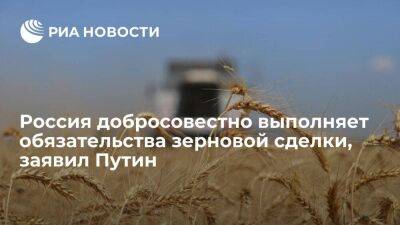 Владимир Путин - Мария Захарова - Путин: Россия честно выполняет обязательства по зерновой сделке, но ей чинят препятствия - smartmoney.one - Россия - Украина - Турция - Одесса - Стамбул
