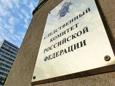 Следственный комитет россии возбудил уголовное дело в отношении прокурора и судей МУС