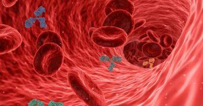 Обнаружена неожиданная функция иммунных клеток крови