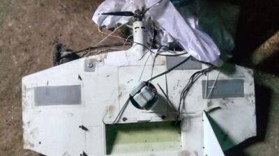 В Николаевской области сбили два российских дрона-разведчика