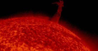 В 10 раз больше Земли. На Солнце появился огромный "солнечный торнадо" высотой 120 тысяч км (видео)